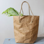 Paper Shopping Bag