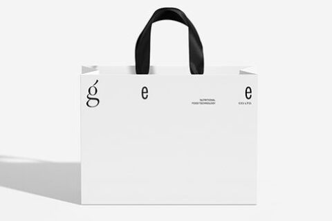 Paper Shopping Bag