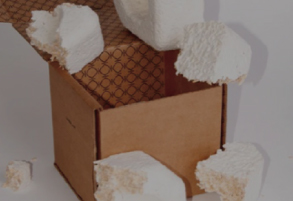 Biodegradable Packaging Materials